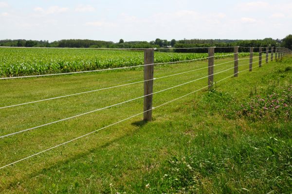 Agricultural Fence Repair