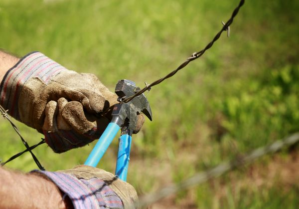 Barbed Wire Fence Repair - Barbed Wire Fence Repair Columbia, South Carolina