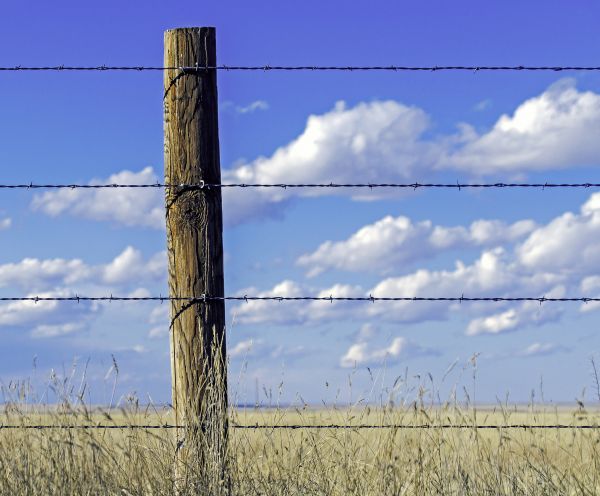 Barbed Wire Installation