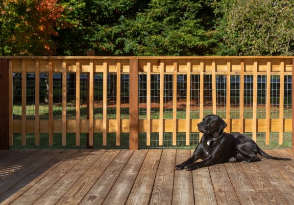 Dog Fence Fixing