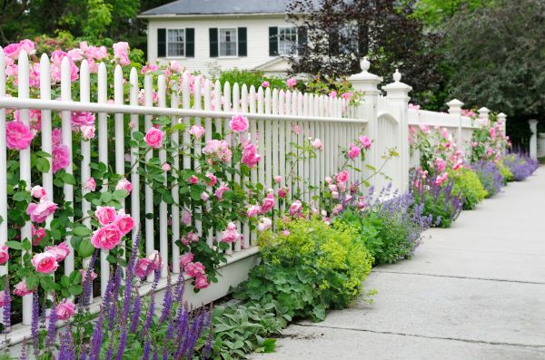 Garden Fencing Installation