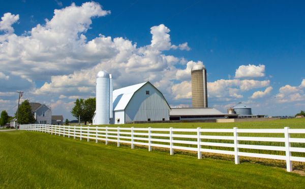 Pasture Fence Construction