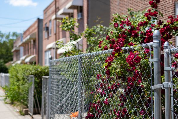 Chain Link Fence Replacement - Chain Link Fence Replacement Tucson, Arizona