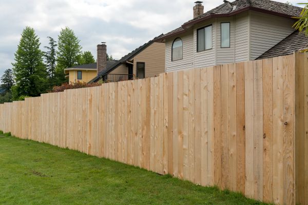 Cedar Fencing Installation