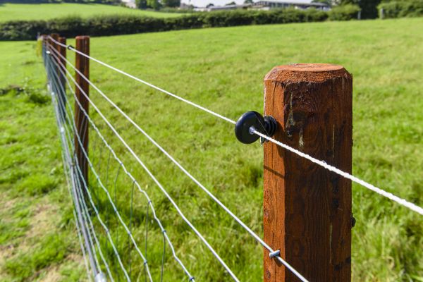 Animal Fencing Installation