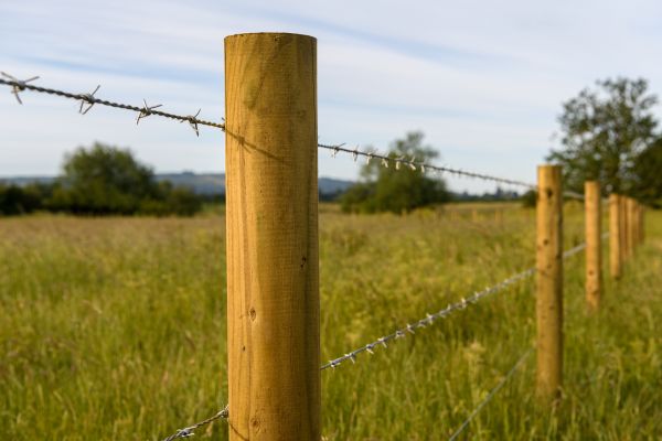 Barbed Wire Replacement