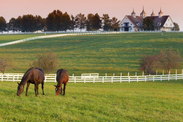 Horse Fencing Installation - Horse Fencing Installation Dutchess County, New York