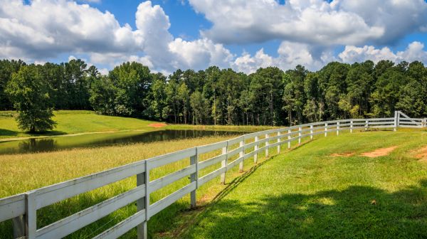Pasture Fencing - Pasture Fencing North Charleston, South Carolina