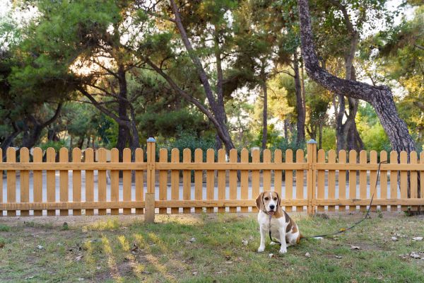 Pet Fence Maintenance