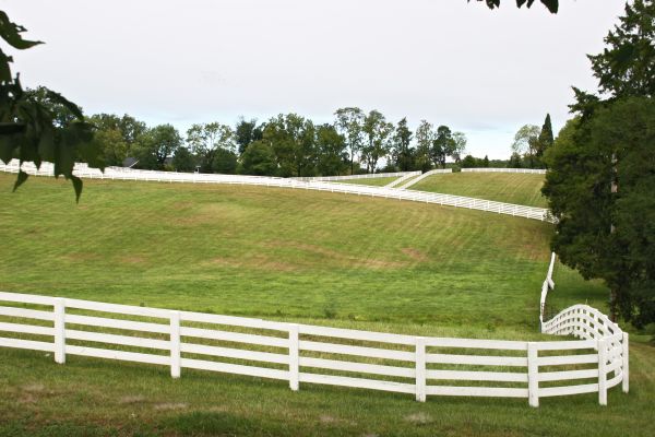Pasture Fence Replacement