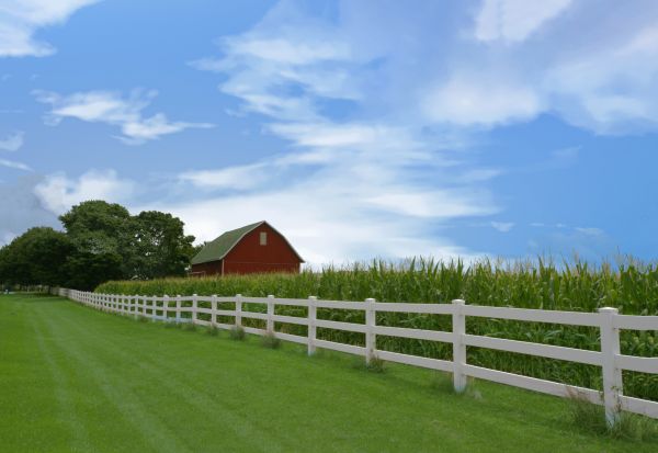 Farm Fence Construction - Farm Fence Construction Jacksonville, Florida