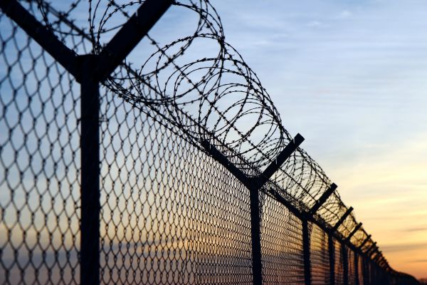 Barbed Wire Renovation