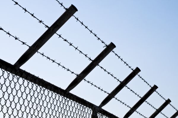 Wire Fencing Replacement