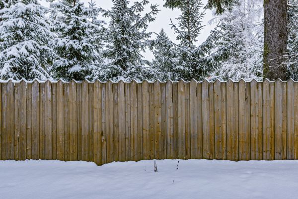 Pine Fencing