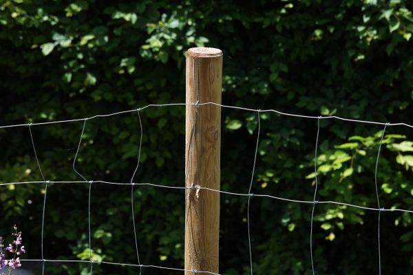 Fence Post Restoration