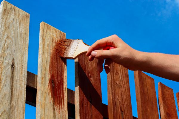 Property Fence Staining