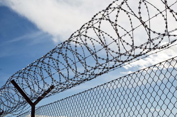 Barbed Wire Fencing Service