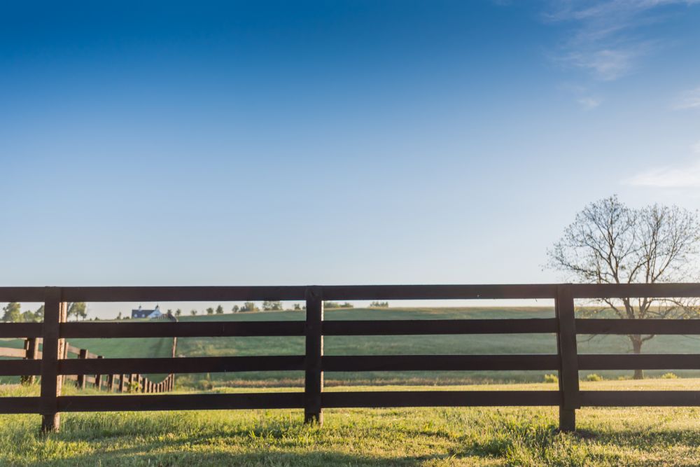 Wood Fence Rail Repair